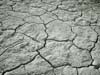 DSC03852