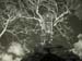 2003.31.12 14-45-54