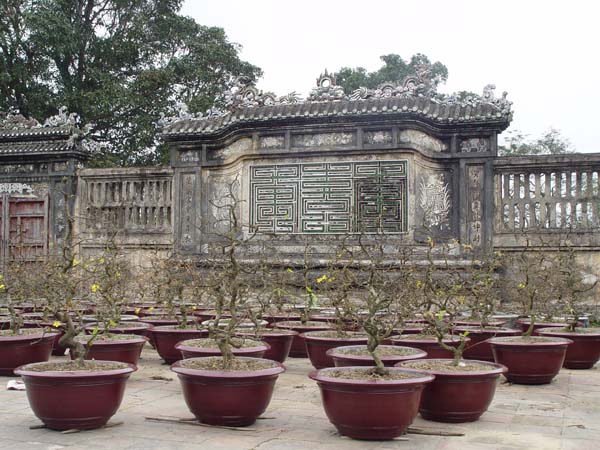 2004.07.01 11-23-41