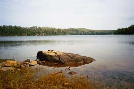 A Rock