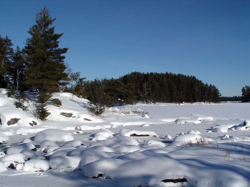 DSC03563