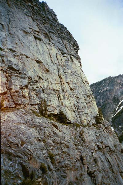 PA15321368121