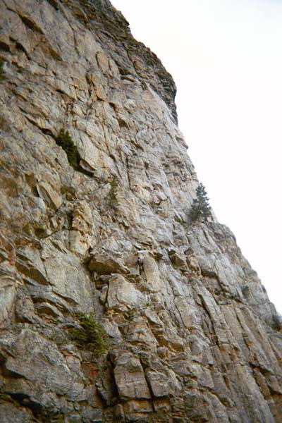 PA15431064903