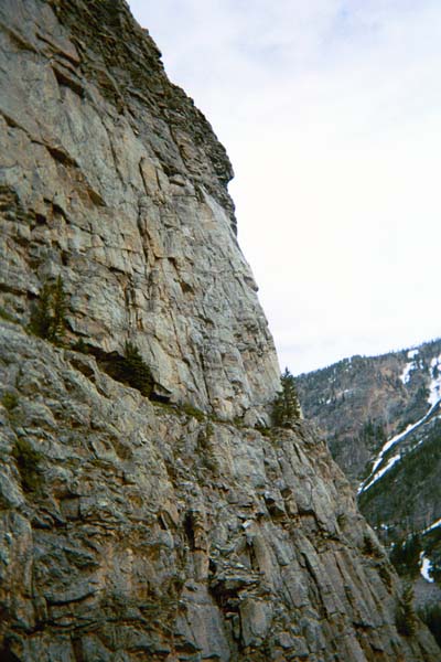 PA15431064904