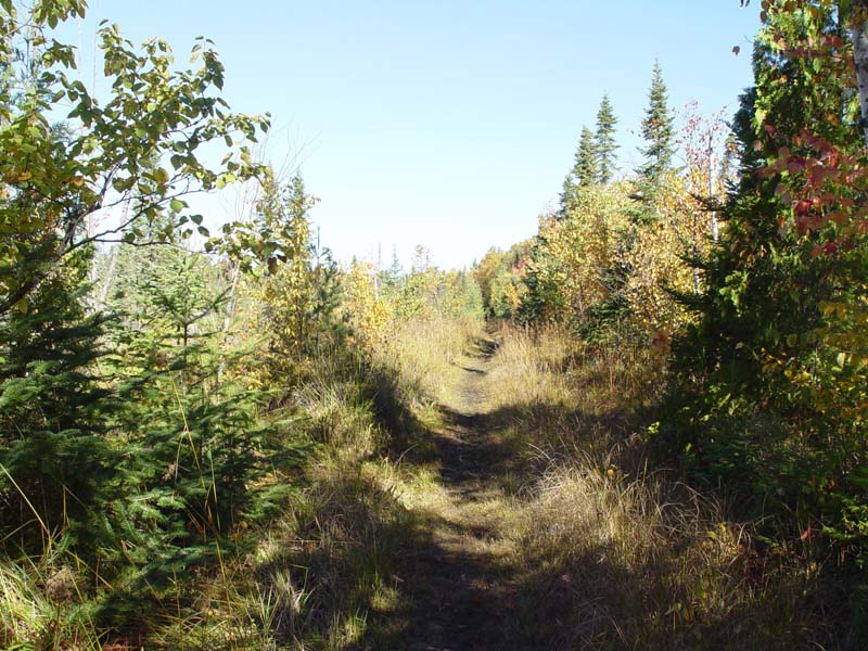 DSC05030
