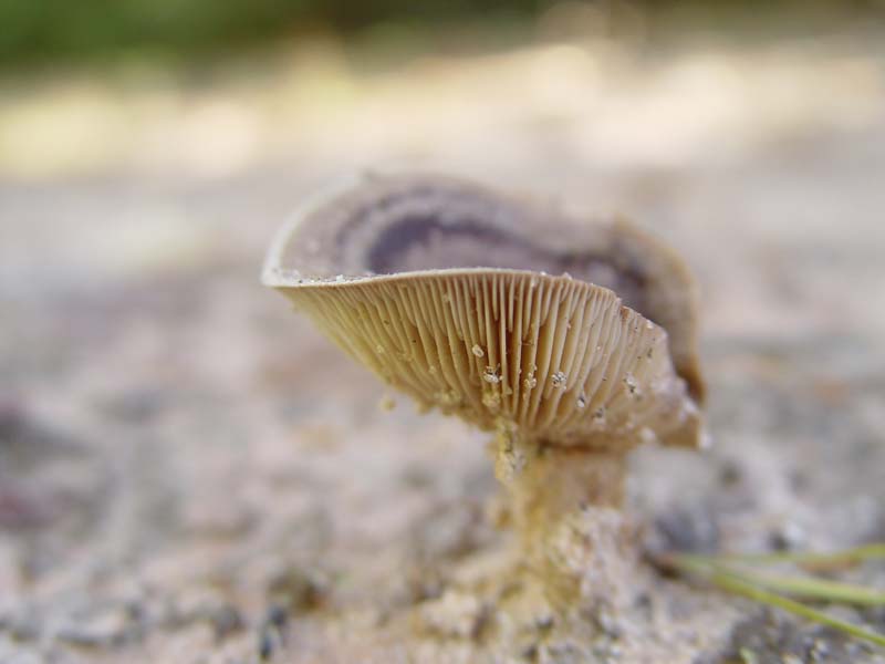 DSC05045