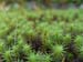 DSC05043