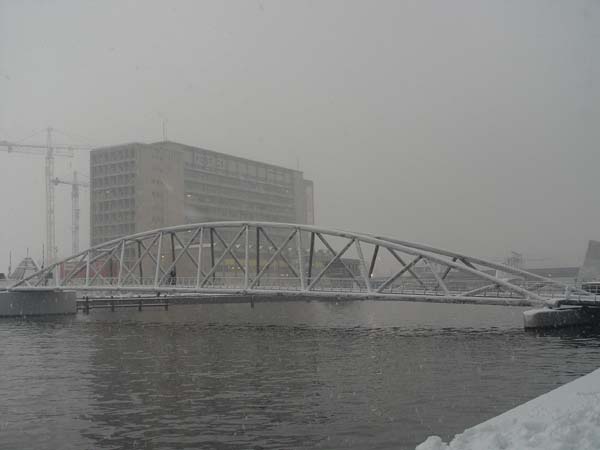 DSC05365