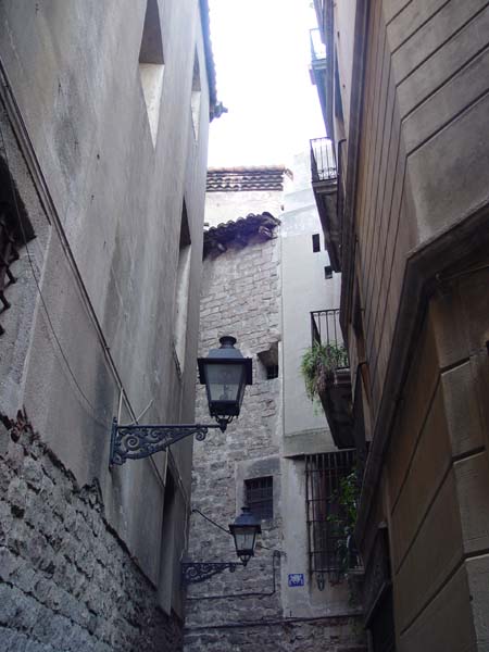 DSC05481