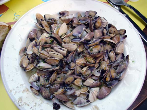 DSC05509