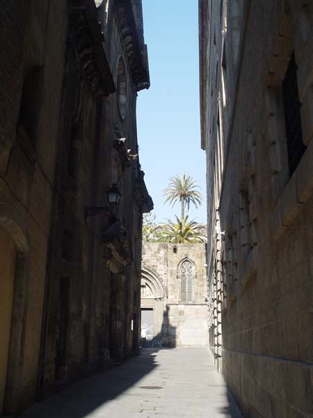 DSC05601
