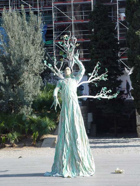 DSC05602