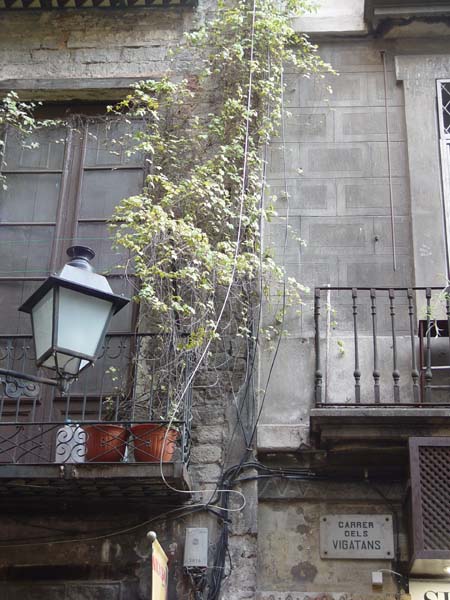 DSC05605