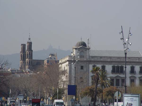DSC05626