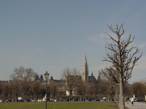 DSC05753