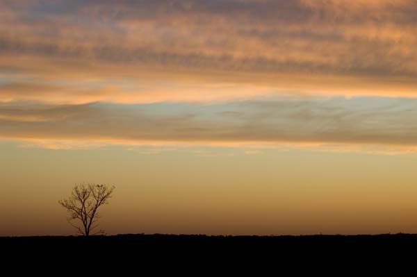 DSC_1925