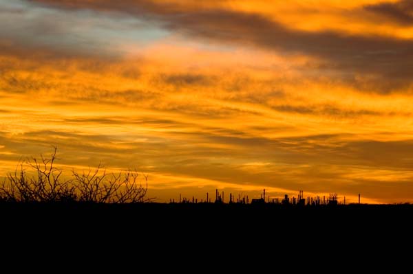 DSC_1944