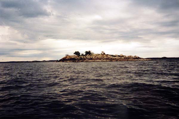 DSC01525