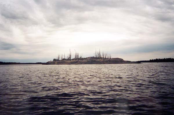 DSC01531