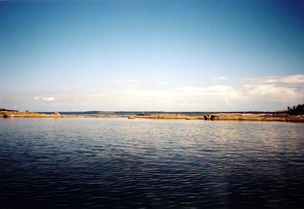 DSC01536