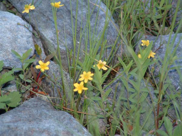 DSCF0022_1