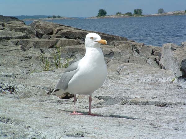 DSCF0054