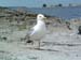 DSCF0054