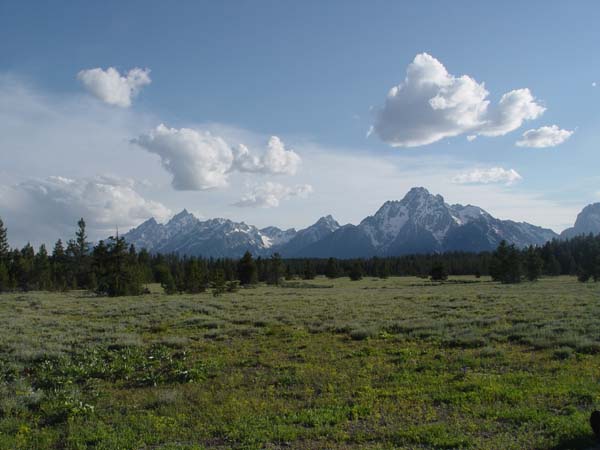 DSC04275