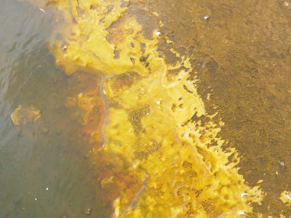 DSC04290