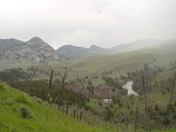 DSC04354