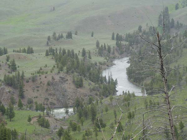 DSC04355