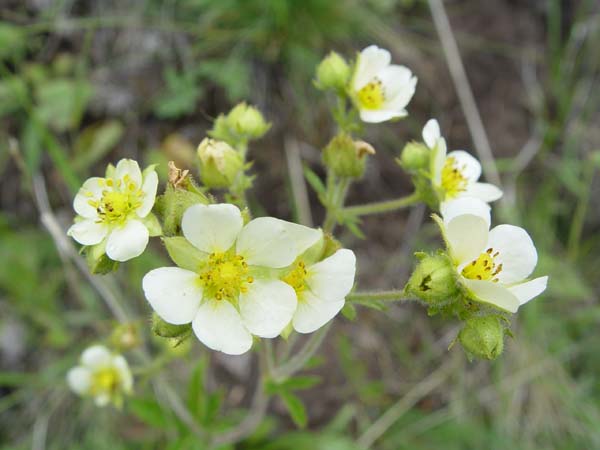 DSC04360