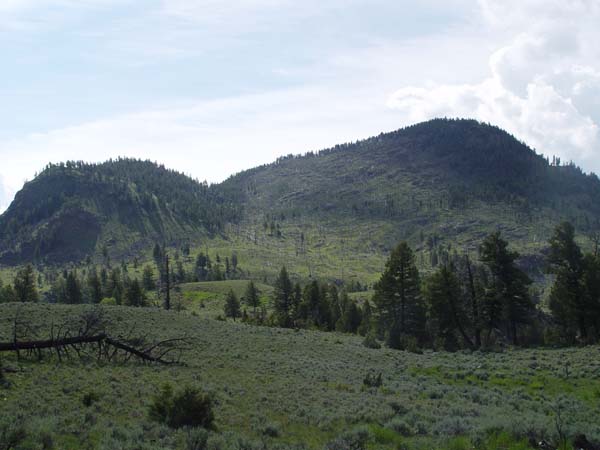 DSC04401