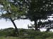 DSC04380